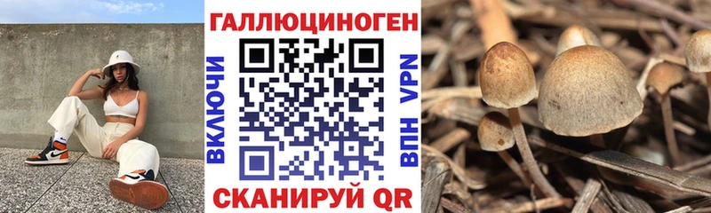 Псилоцибиновые грибы мухоморы  Купить где  Холмск 